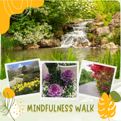 mindfulness walk
